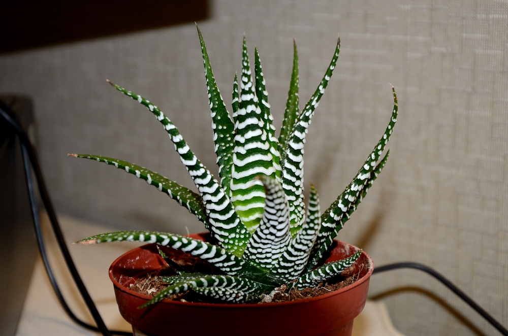 27-28th Apr 2015 019.JPG