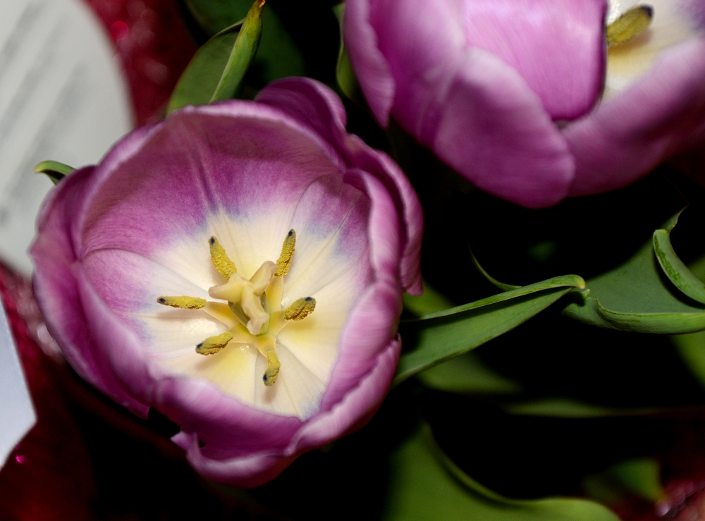 27-28th Apr 2015 020.JPG