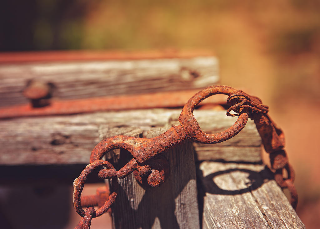 28 July 2015 - The Hitch in my Giddyup.jpg