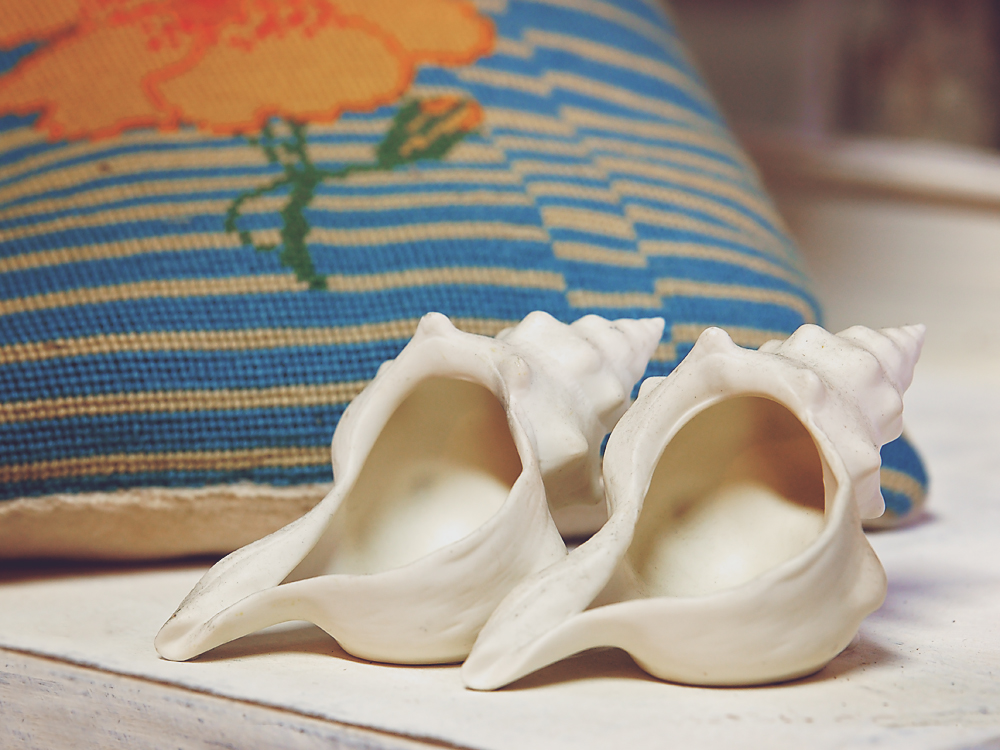 28 November 2015 - Selling Seashells by the Sea Shore.jpg
