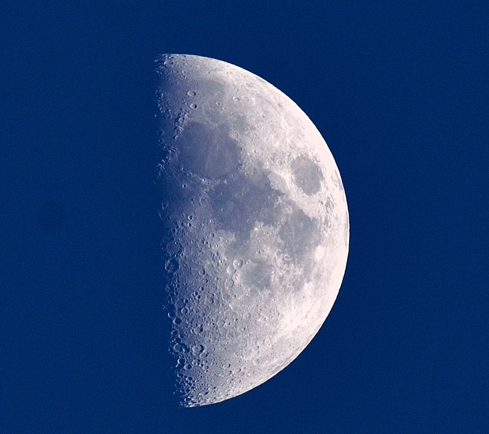28th Dec 2014 012.JPG