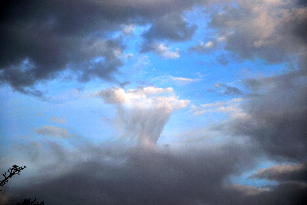 28th Jan 2014 030.JPG