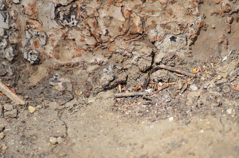 28th Mar 2014 063.JPG