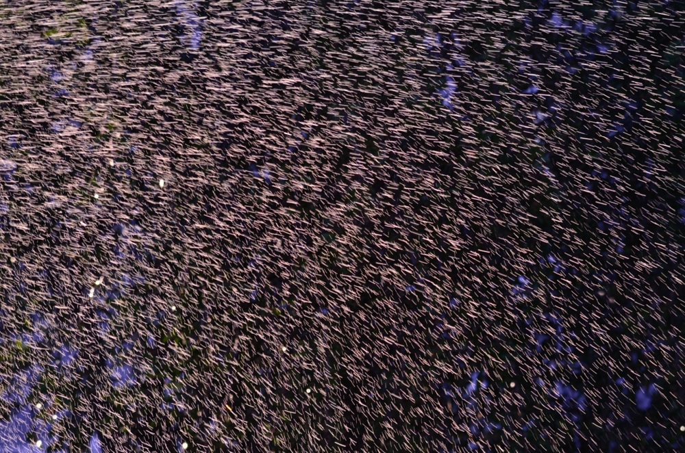 28th Mar 2014 087.JPG
