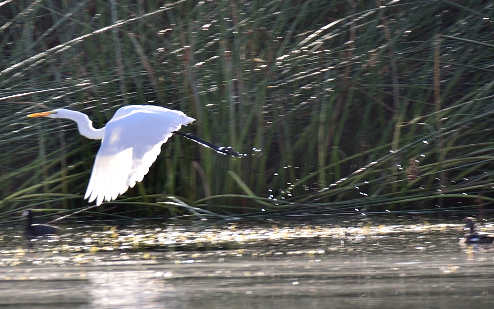 28th Sept 2014 017.JPG