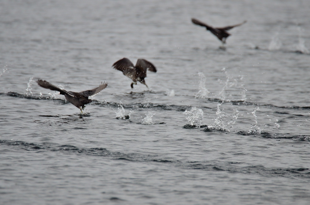 28th Sept 2014 041.JPG
