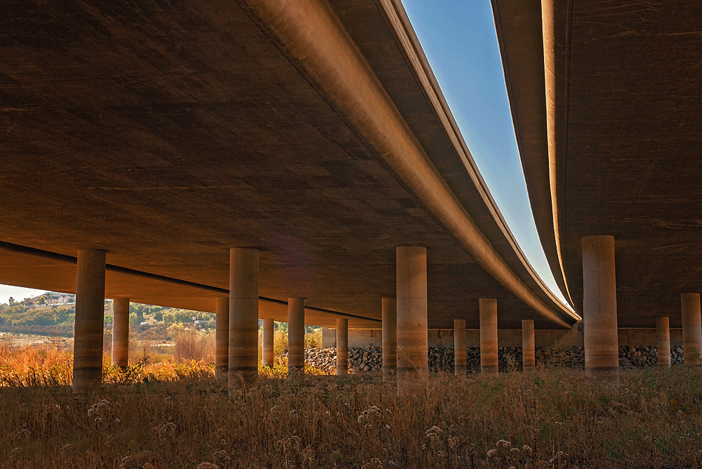 29 December 2015 - Concrete Forest.jpg