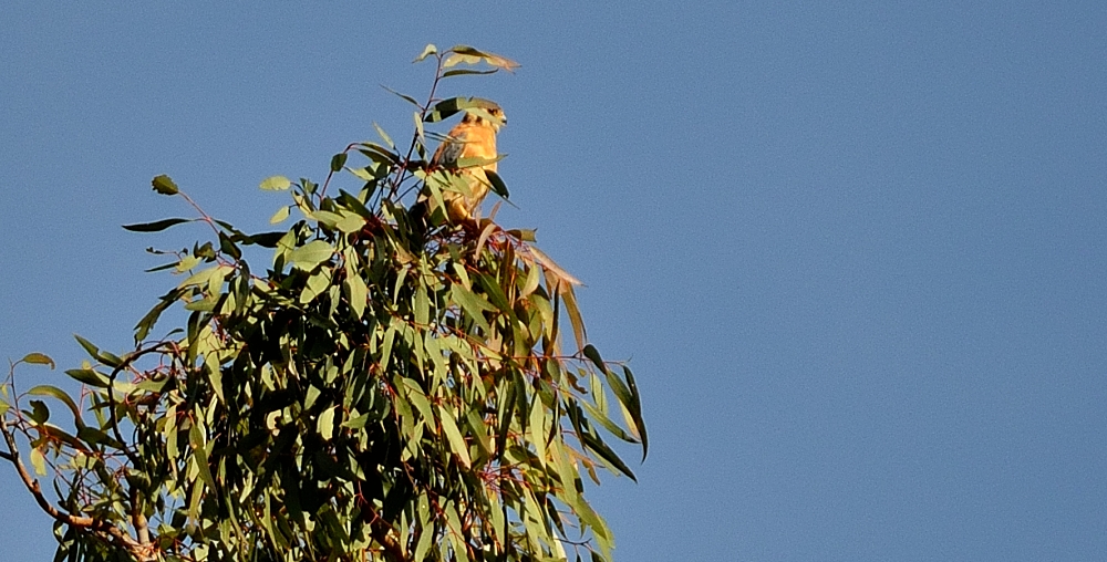 29th  July 2014 015_01.JPG