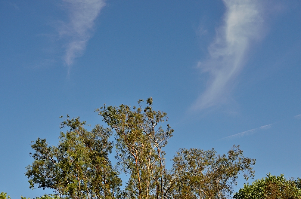 29th  July 2014 022.JPG