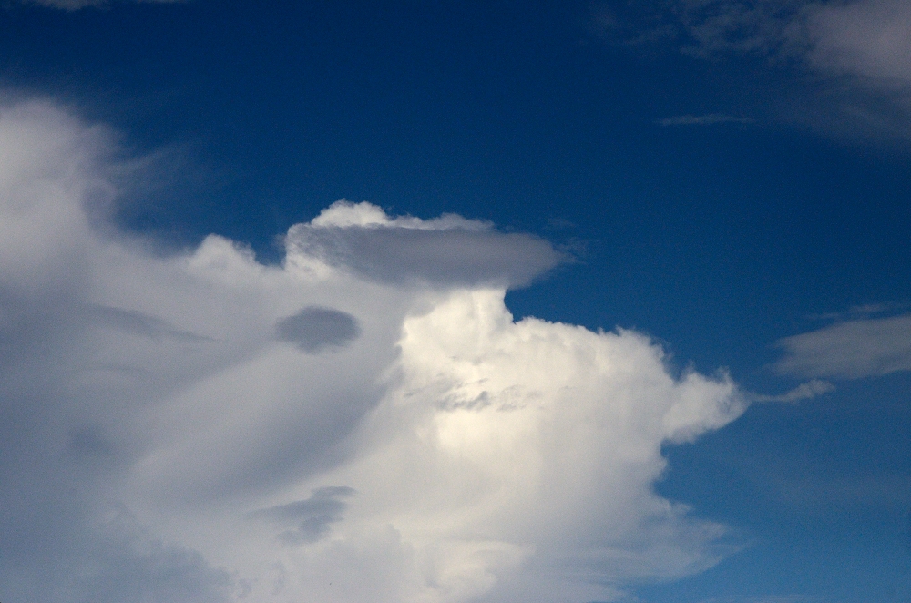 29th June 2015 010.JPG