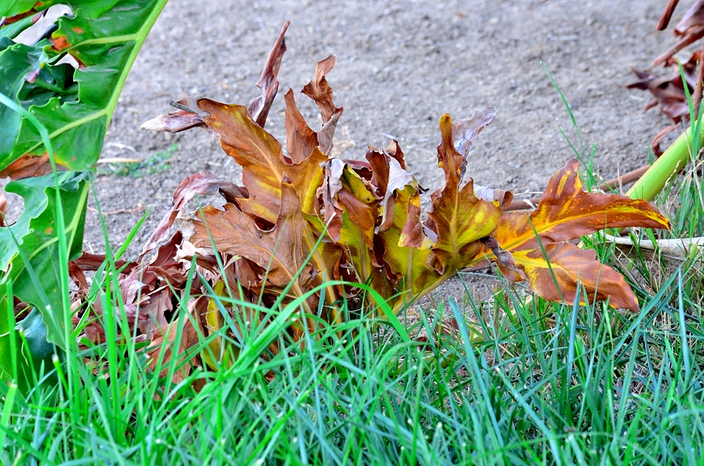 29th Oct 2014 002.JPG