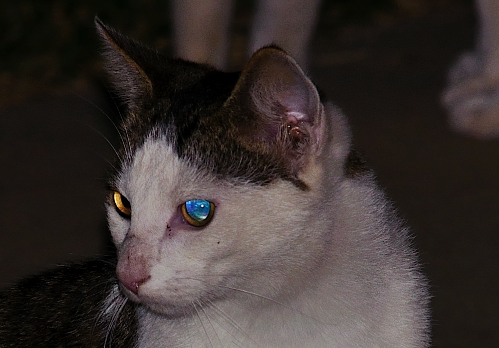 29th Oct 2014 023.JPG