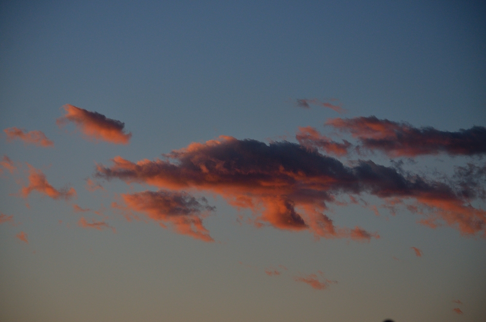 29th Oct 2015 015.JPG
