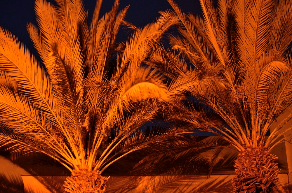 29th Oct 2015 019.JPG