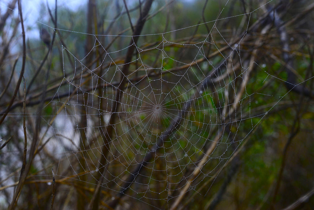 2_DSC3382.jpg