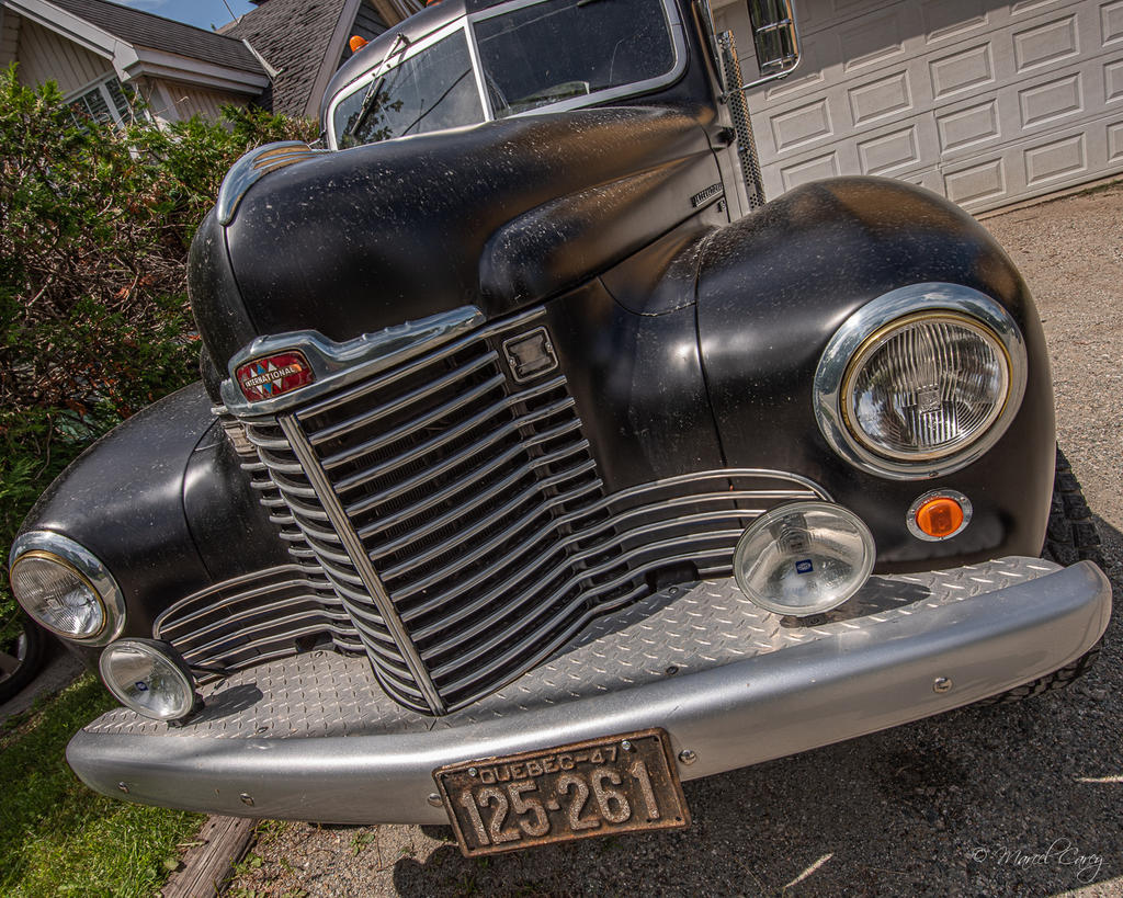 2MC_0488.jpg
