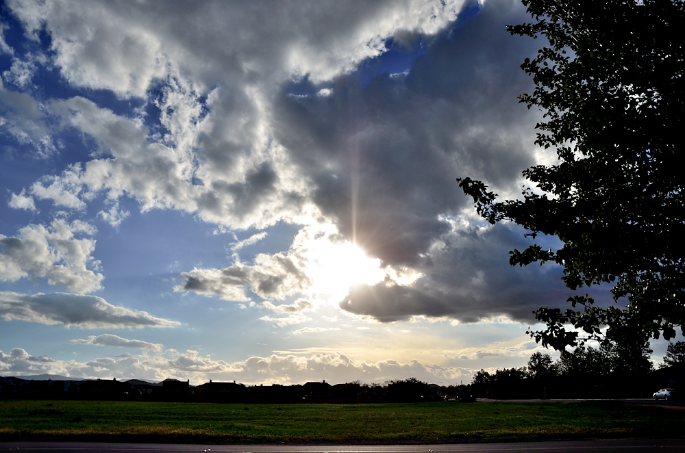 2nd Apr 2014 008.JPG