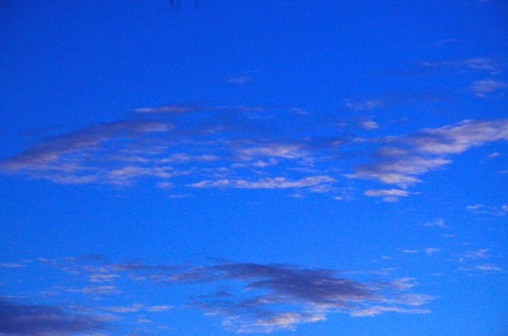 2nd Apr 2014 024.JPG