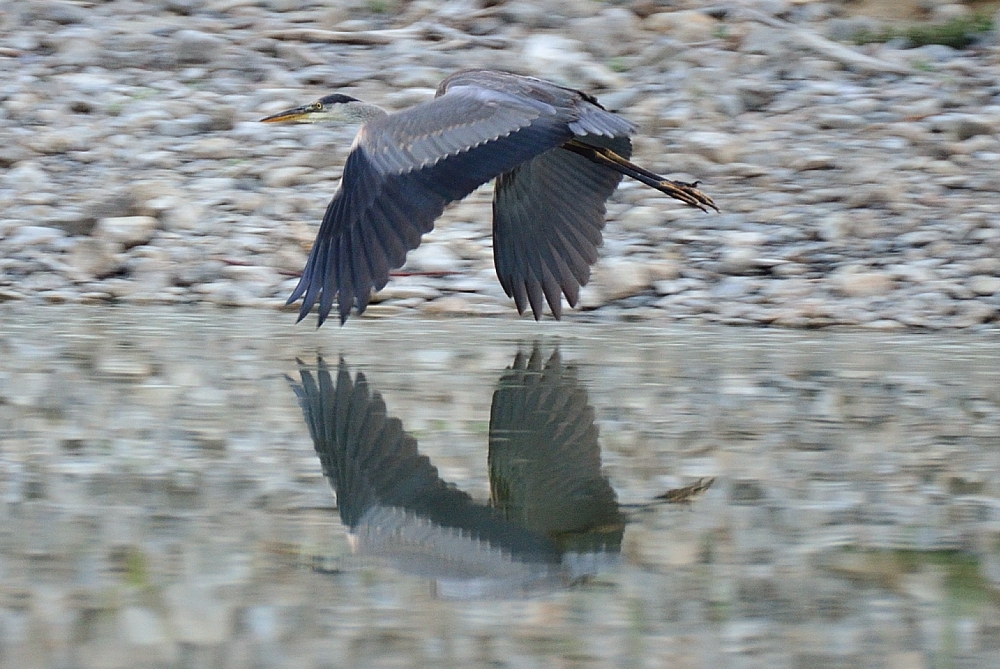 2nd Aug 2014 047.JPG