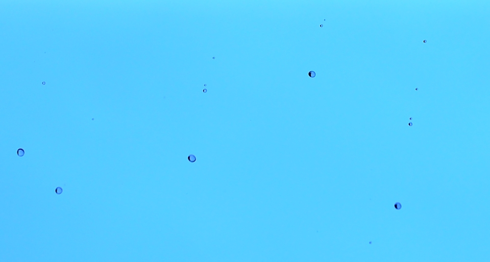 2nd Aug 2014 129.JPG