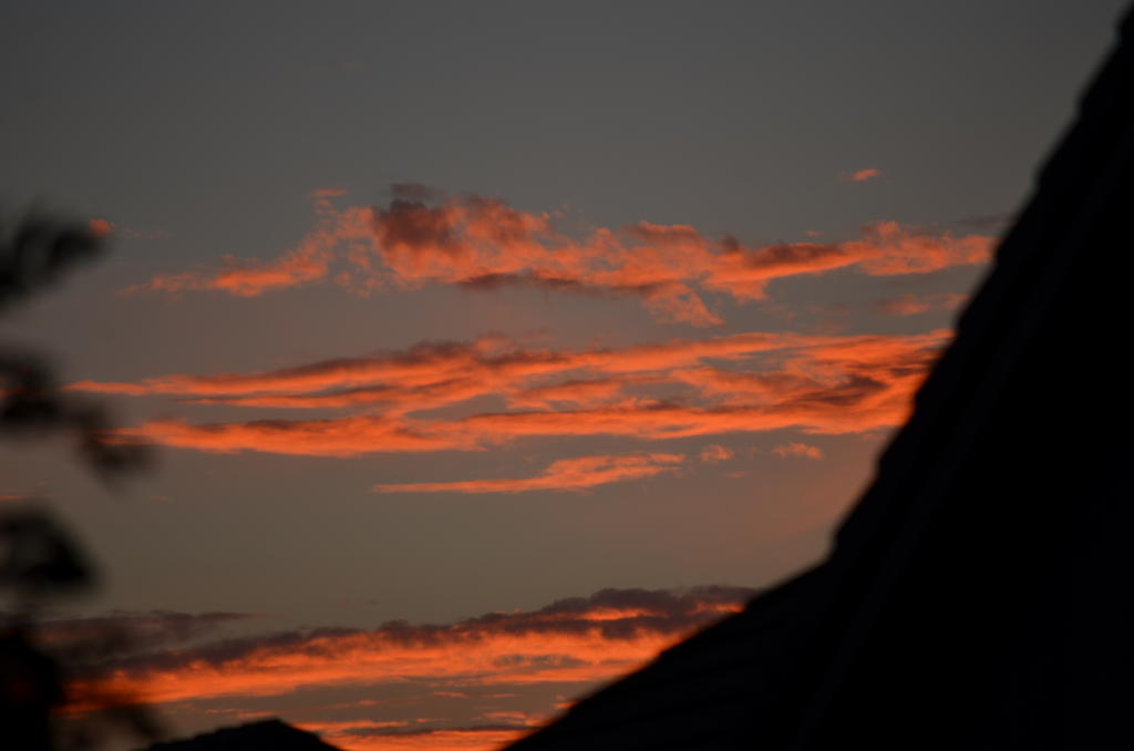 2nd August 2013 033.jpg