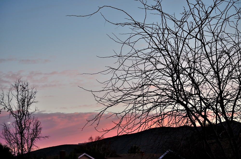 2nd Feb 2014 004.JPG