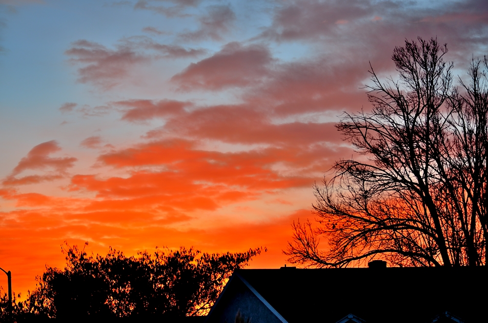 2nd Feb 2014 005.JPG
