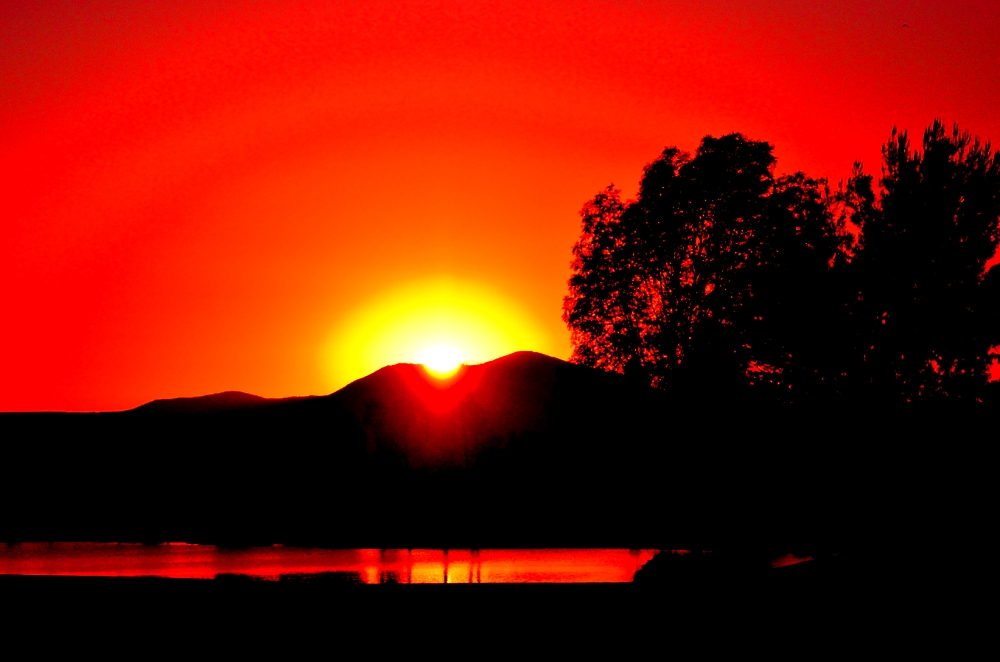 2nd  July 2014 025.JPG