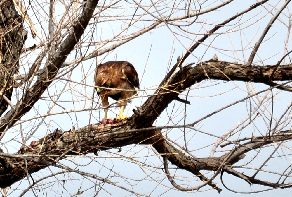 2nd Mar 2014 022.JPG