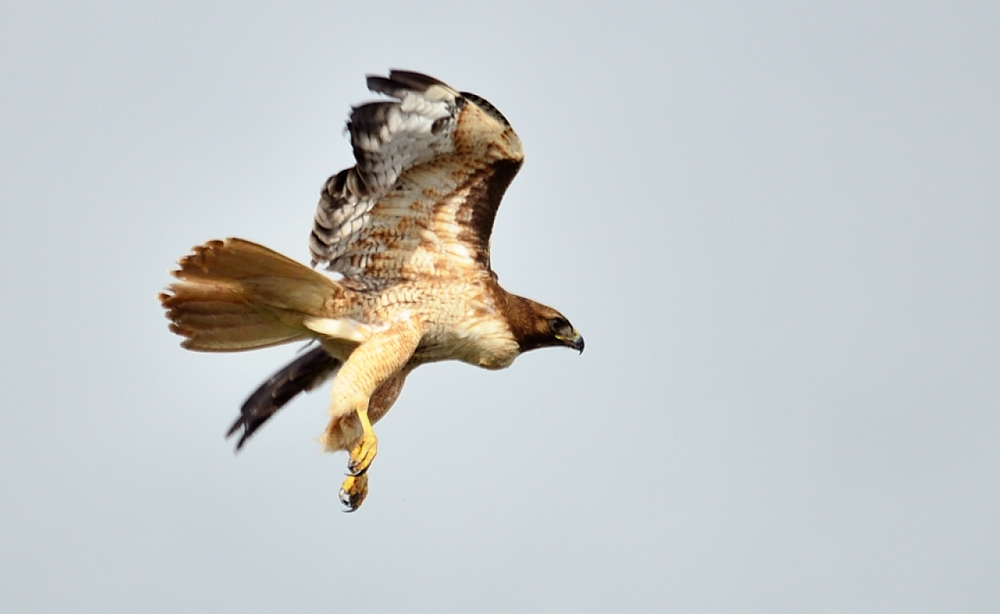 2nd Mar 2014 030.JPG