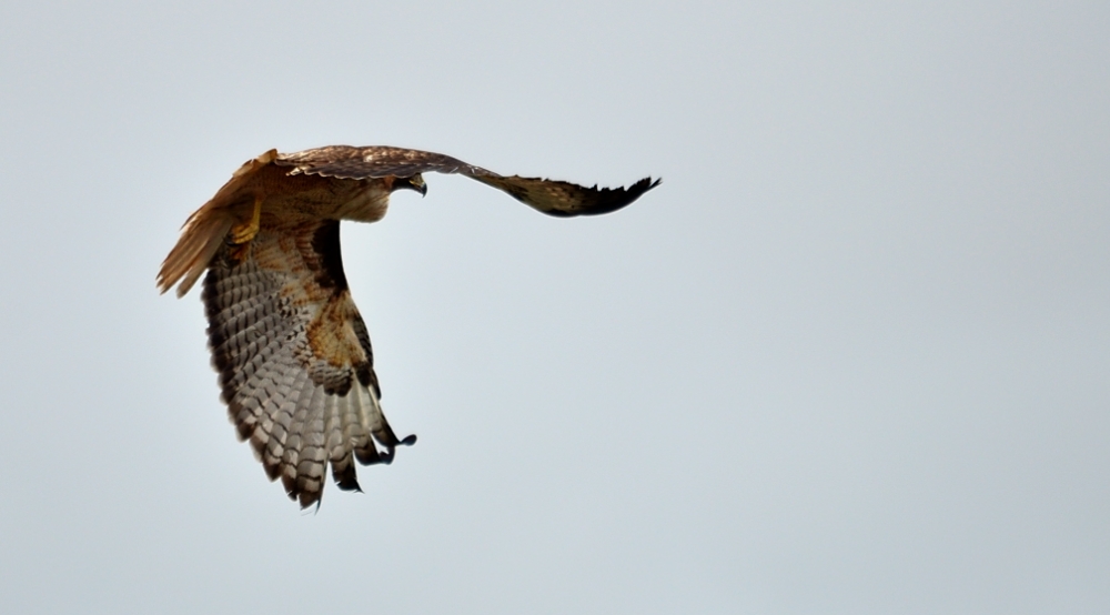2nd Mar 2014 031.JPG