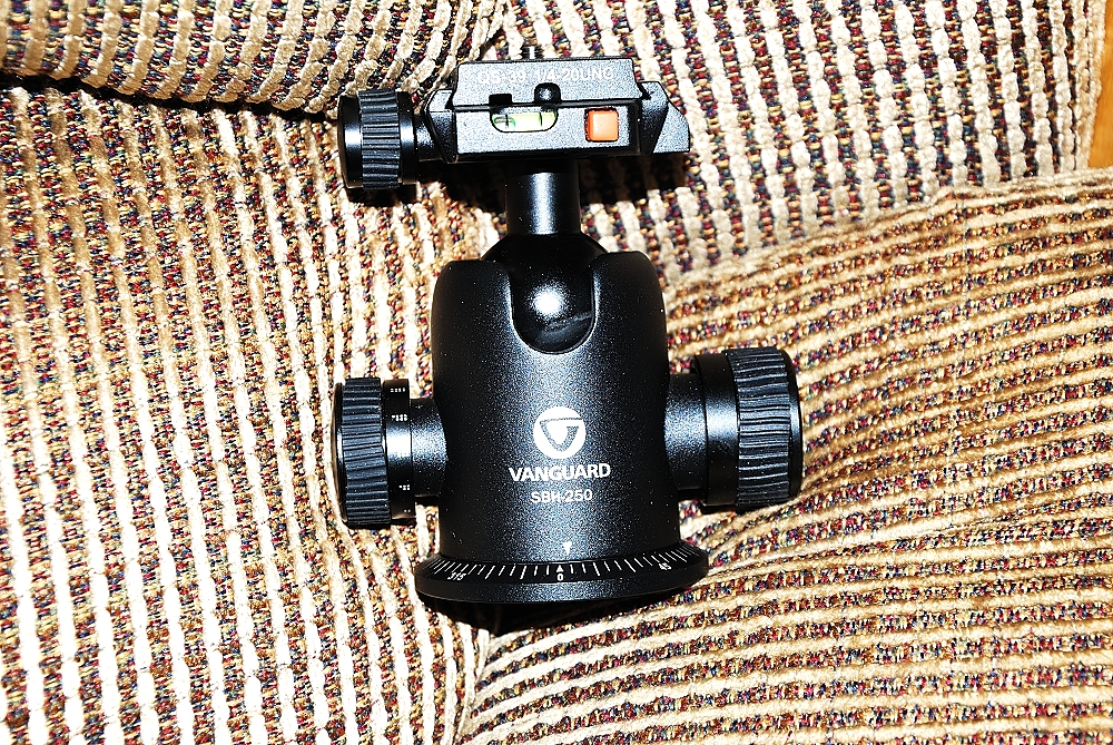 2nd Mar 2014 046.JPG
