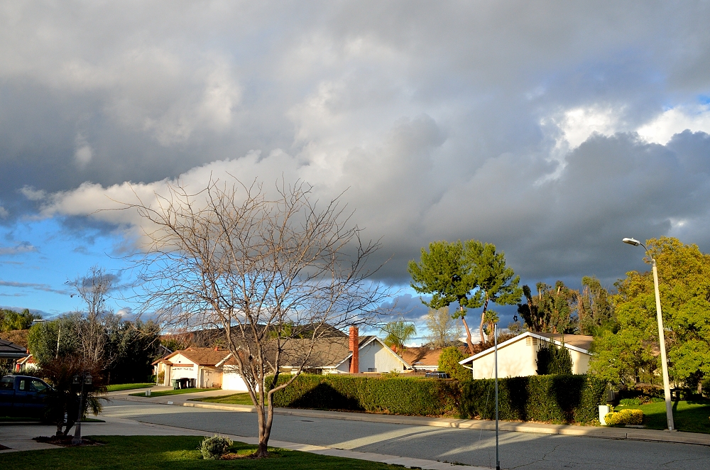2nd Mar 2015 007.JPG