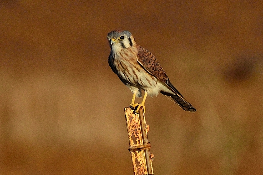 2nd Oct 2014 013.JPG