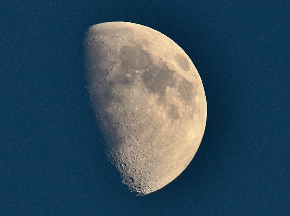 2nd Oct 2014 023.JPG