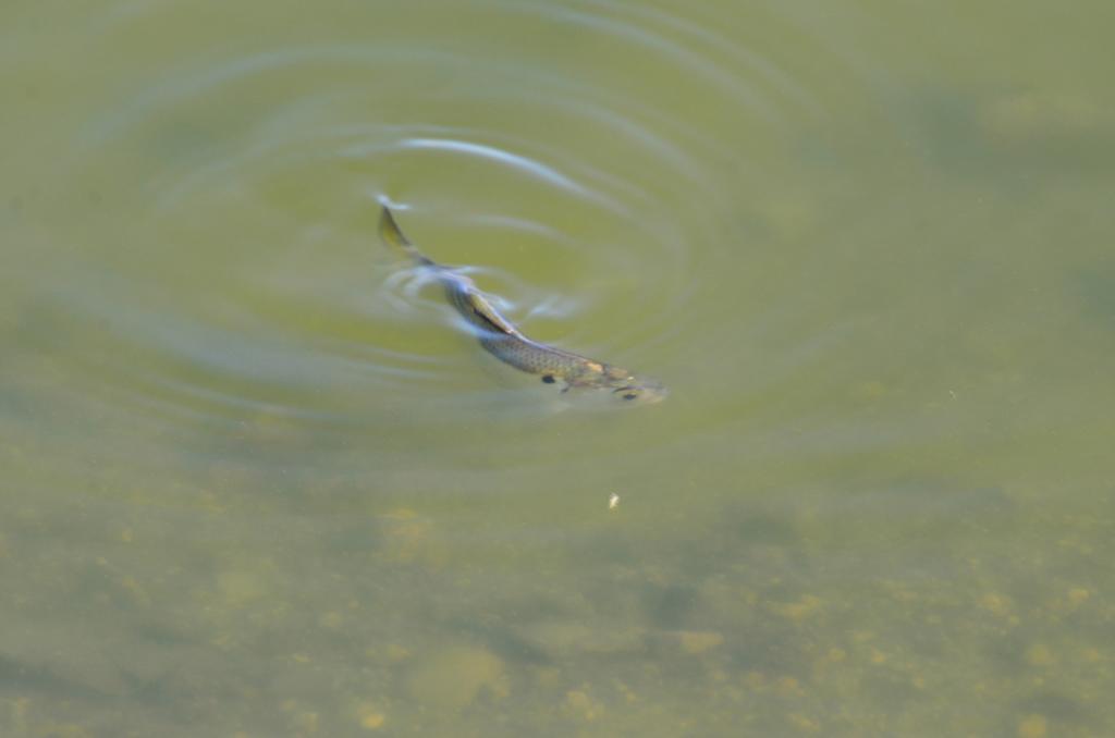 2nd Sept 2013 106_014.jpg