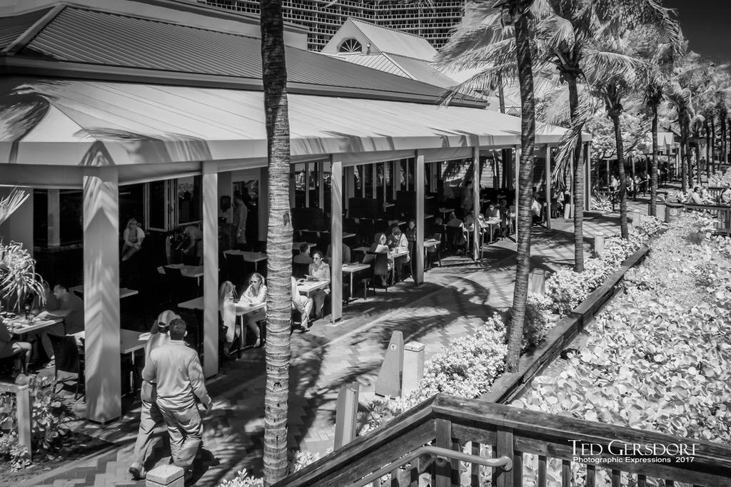 3-16-17 DFB  IR  -1-3BW.jpg