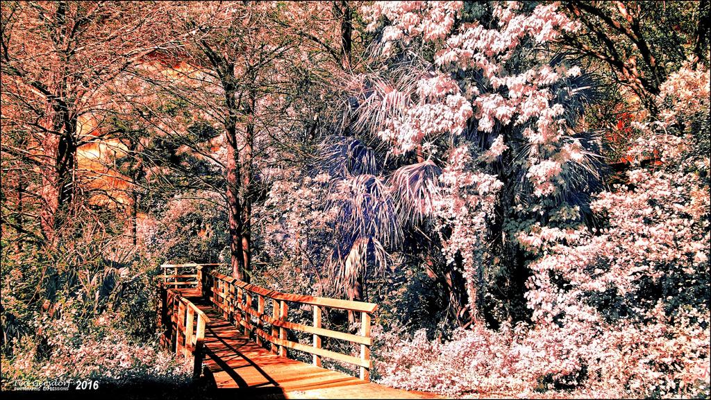 3-22-16 Tradewinds IR   1.1sm.jpg