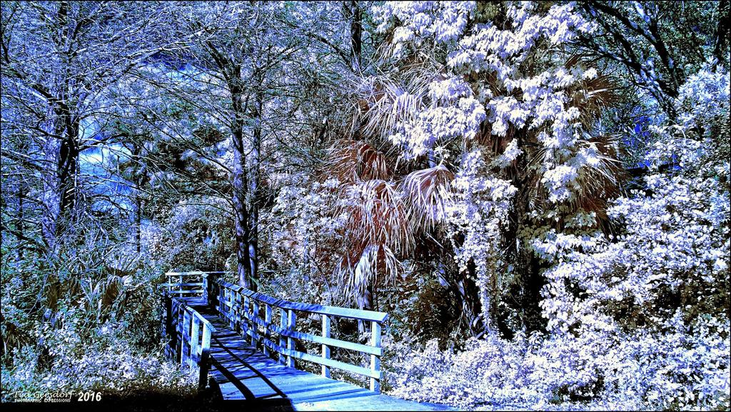 3-22-16 Tradewinds IR   1.2sm.jpg
