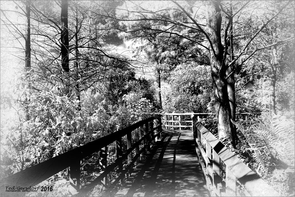 3-22-16 Tradewinds IR   2BW.jpg