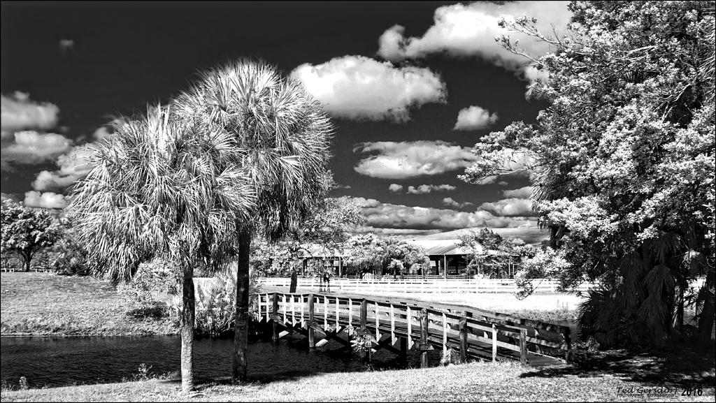 3-22-16 Tradewinds IR   3BW.jpg