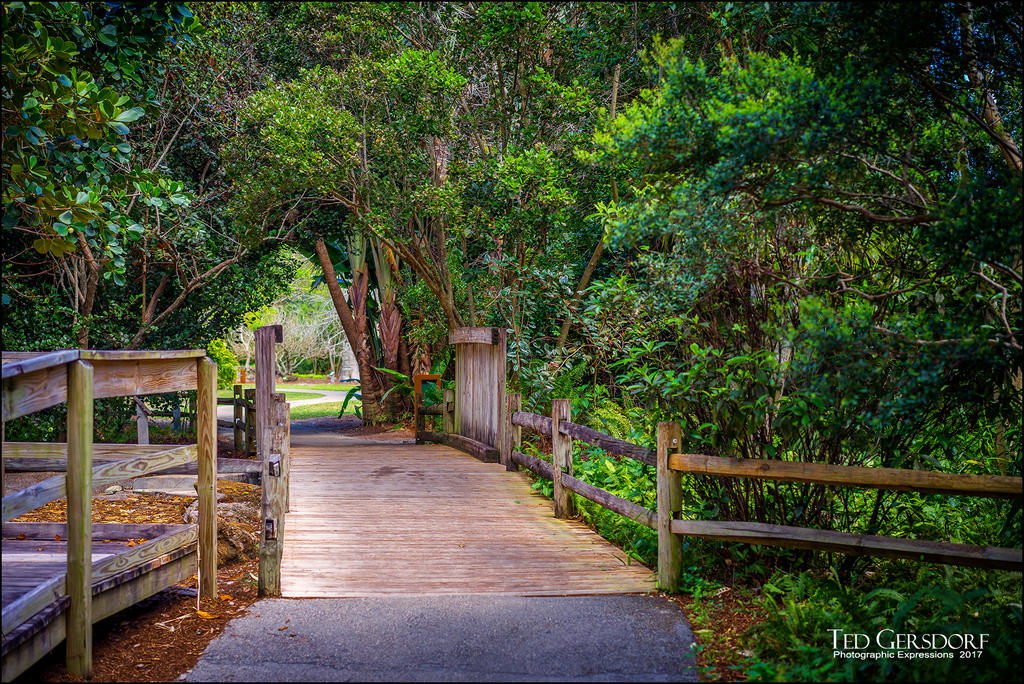 3-28-17 DFB Arbor -1-5.jpg