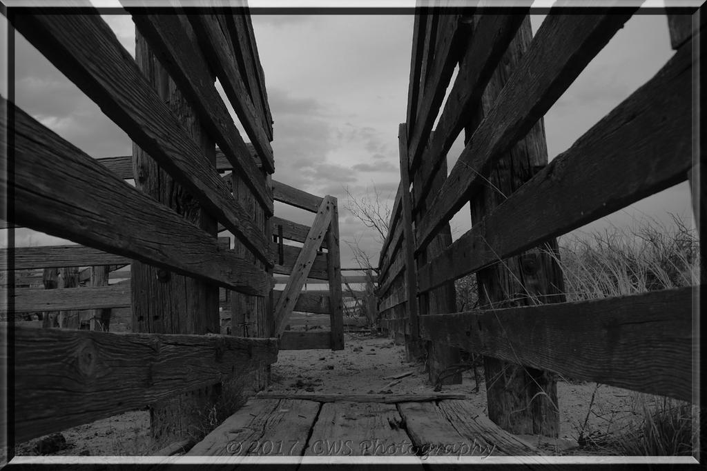 3-5-17-BW-cr_DSC_4958.jpg
