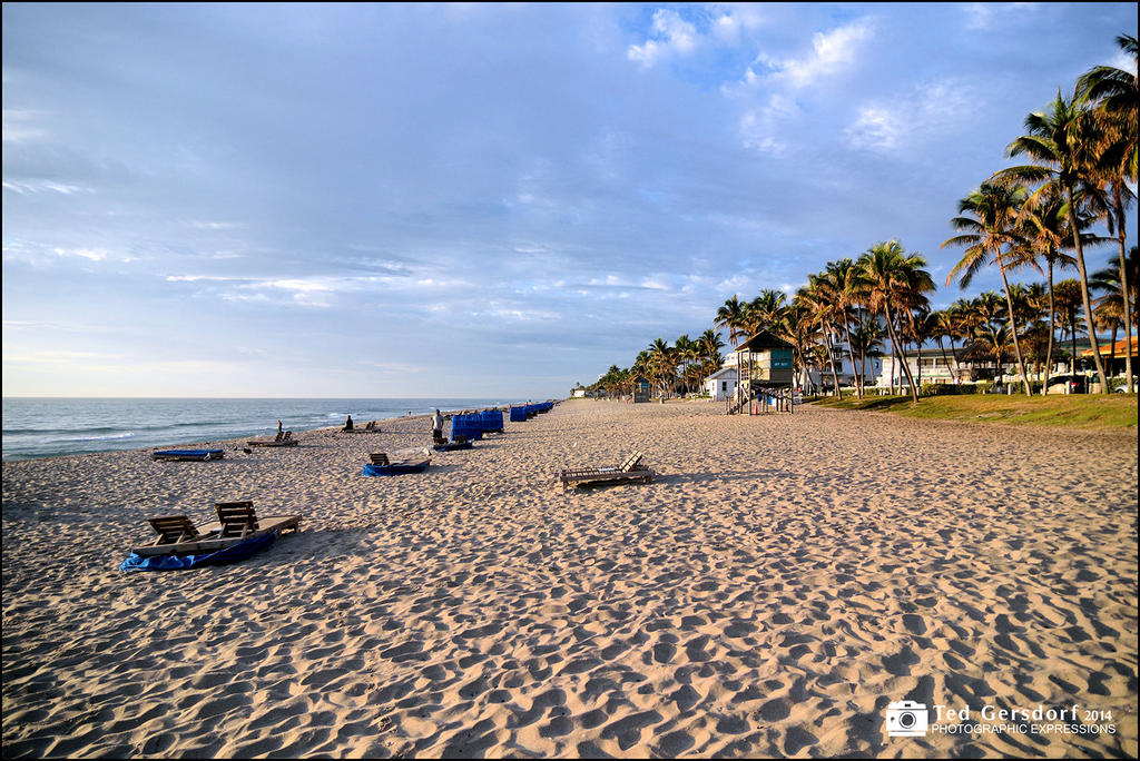 3-6-14 Beach 1sm.jpg
