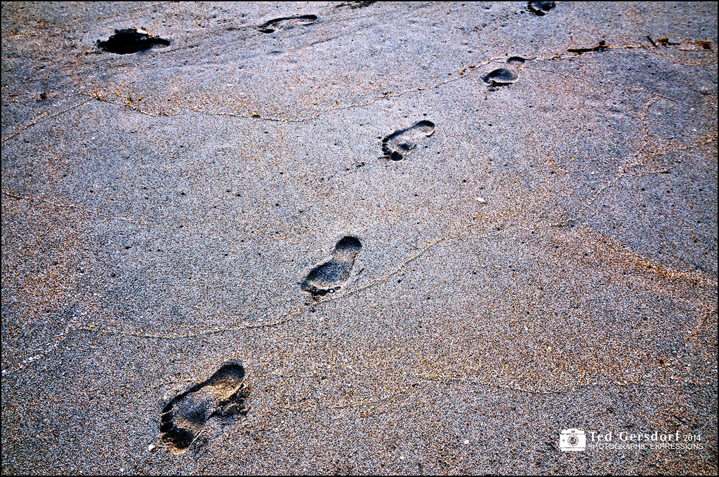 3-6-14 Beach 7sm.jpg