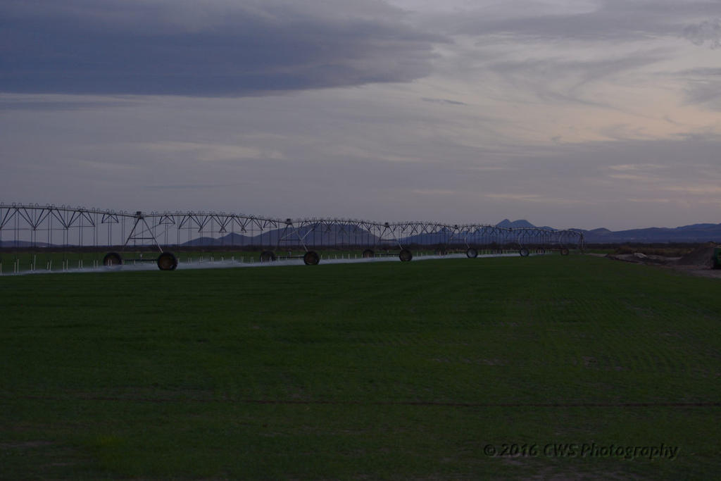 3-6-16-cr_D7K2136.jpg