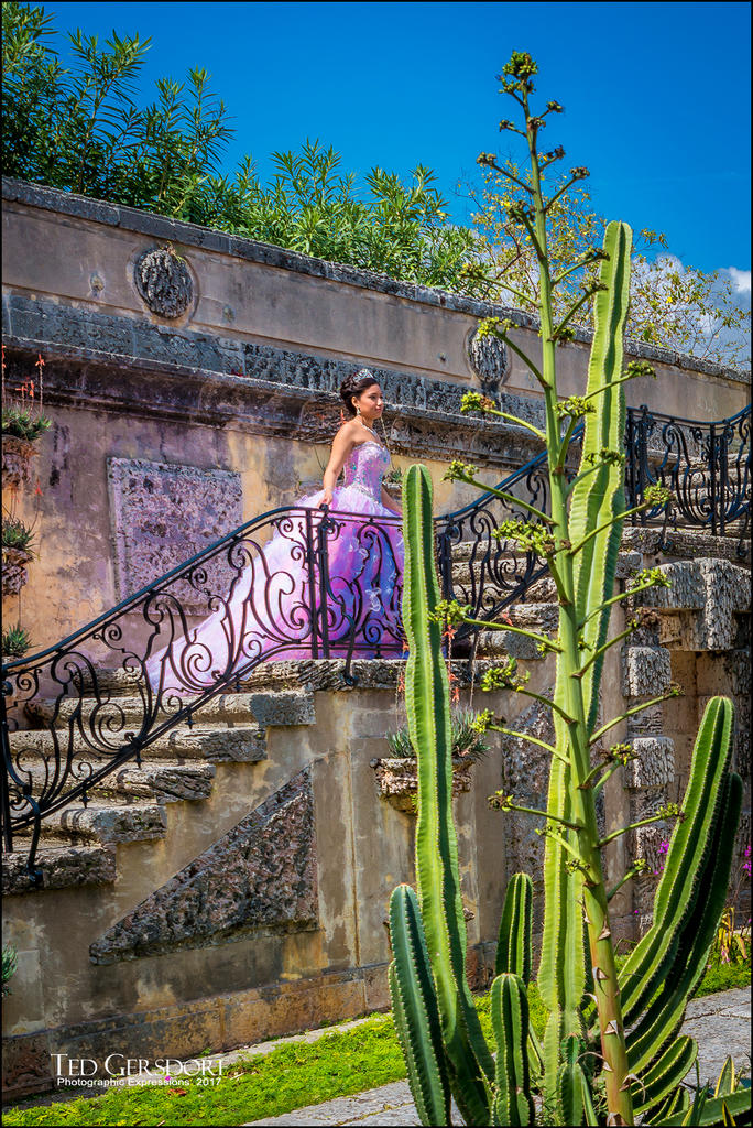 3-9-17 Palm Beach to Vizcaya II-1-36.jpg