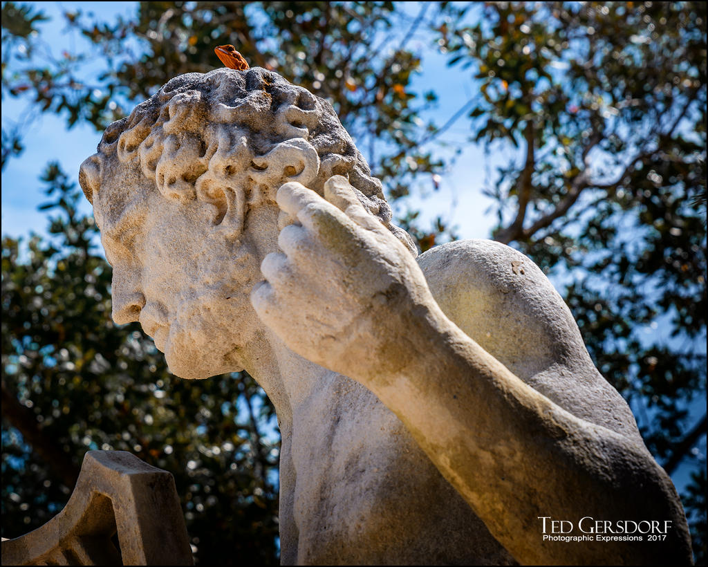 3-9-17 Palm Beach to Vizcaya II -40-3.jpg