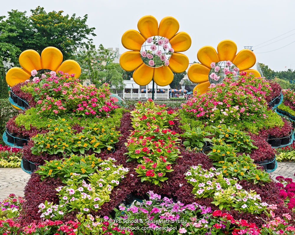 3-flower-1.jpg