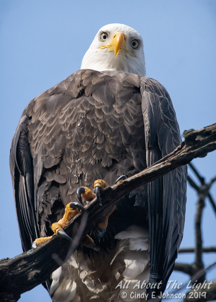305411d1549556384-hark-2019-a-_dsc1720-low-res.jpg